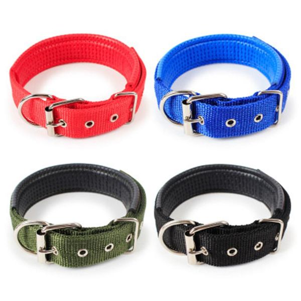 nylon pet dog collar durable adjustable soft puppy cat with buckle leash training lead strap collars & leashes
nylon pet dog collar durable adjustable soft puppy cat with buckle leash training lead strap collars & leashes