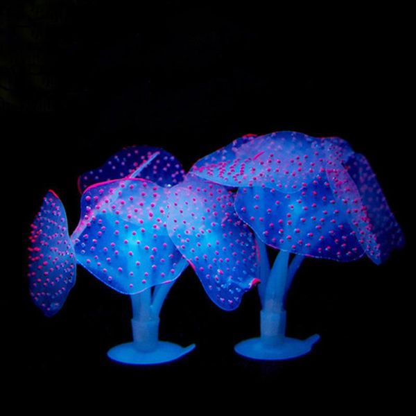 decorations fish tank glowing artificial jellyfishes silicone simulated aquatic plants fluorescent vivid jellyfish aquarium decor
decorations fish tank glowing artificial jellyfishes silicone simulated aquatic plants fluorescent vivid jellyfish aquarium decor