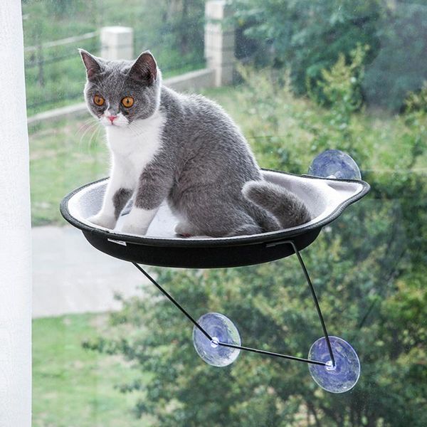 cat beds & furniture creative favorite round sucker nest window sill hammock pot pet bed for puppy ferret 
cat beds & furniture creative favorite round sucker nest window sill hammock pot pet bed for puppy ferret