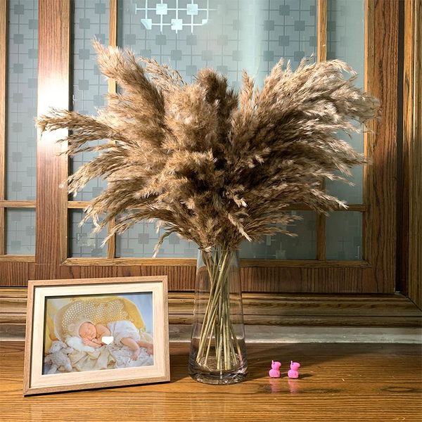 decorative flowers & wreaths 20 stem original color dry pampas grass bouquet wedding natural plant home decoration
decorative flowers & wreaths 20 stem original color dry pampas grass bouquet wedding natural plant home decoration