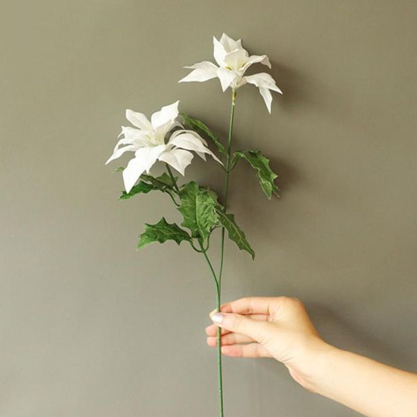 gift wrap 2 heads christmas artificial flower for home garden decor plastic flowers simulation green leaves branch
gift wrap 2 heads christmas artificial flower for home garden decor plastic flowers simulation green leaves branch