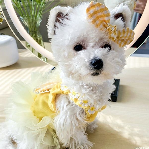 pet cloth teddy bomei cat bixiong dog spring and summer thin suspender rabbit princs yarn skirt
pet cloth teddy bomei cat bixiong dog spring and summer thin suspender rabbit princs yarn skirt