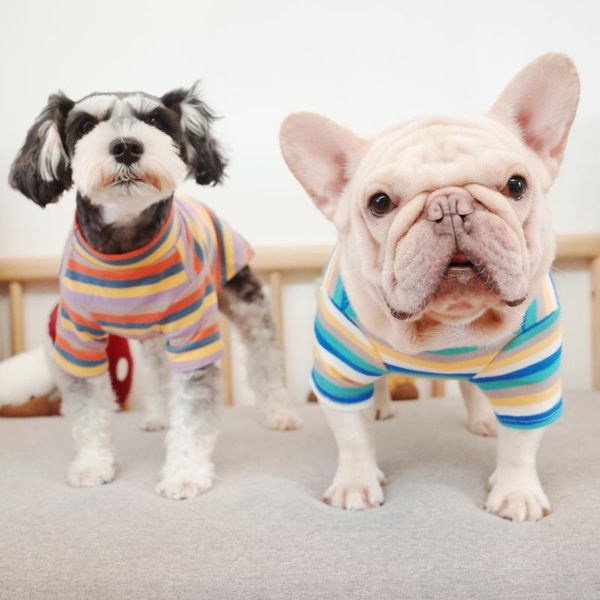 dog apparel autumn winter pet bottoming shirt striped design pajamas knitted soft home clothes colors matching shirts
dog apparel autumn winter pet bottoming shirt striped design pajamas knitted soft home clothes colors matching shirts