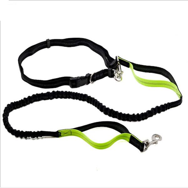 dog collars & leashes pet nylon running leash adjustable waist belt products dogs harness collar reflective walking jogging hiking
dog collars & leashes pet nylon running leash adjustable waist belt products dogs harness collar reflective walking jogging hiking