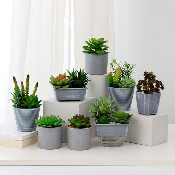 artificial succulent plants fake flowers potted ornaments green bonsai bathroom accessories arrangement wedding decorative & wreaths
artificial succulent plants fake flowers potted ornaments green bonsai bathroom accessories arrangement wedding decorative & wreaths