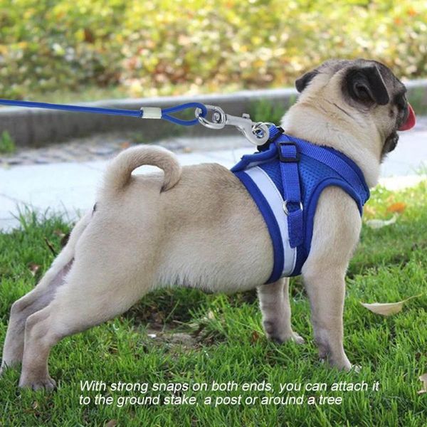 dog collars & leashes long steel wire outdoor camping picnic strong pet safety cable rope 5mm5m
dog collars & leashes long steel wire outdoor camping picnic strong pet safety cable rope 5mm5m