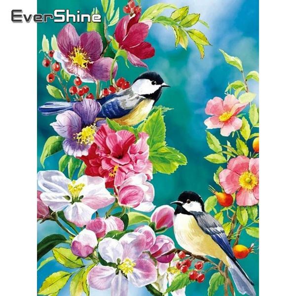 diamond painting evershine 5d full square bird picture rhinestones embroidery animals cross stitch handmade home decor
diamond painting evershine 5d full square bird picture rhinestones embroidery animals cross stitch handmade home decor