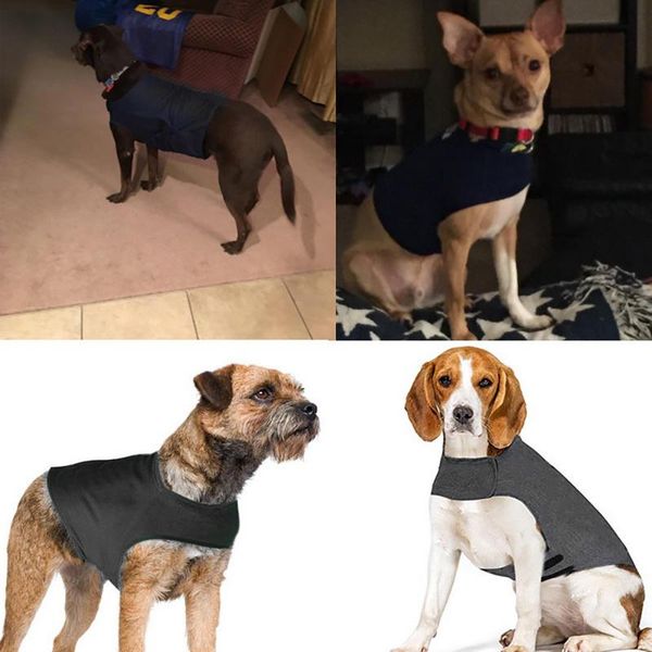 dog apparel anxiety harness anti-anxiety jacket shirt stress relief keep calm clothes soft for pets medium large dogs comfort
dog apparel anxiety harness anti-anxiety jacket shirt stress relief keep calm clothes soft for pets medium large dogs comfort