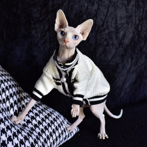 cat costumes fashion pet clothing kitten clothes costume for cats hairless sweater 100% cotton ropa para gato
cat costumes fashion pet clothing kitten clothes costume for cats hairless sweater 100% cotton ropa para gato