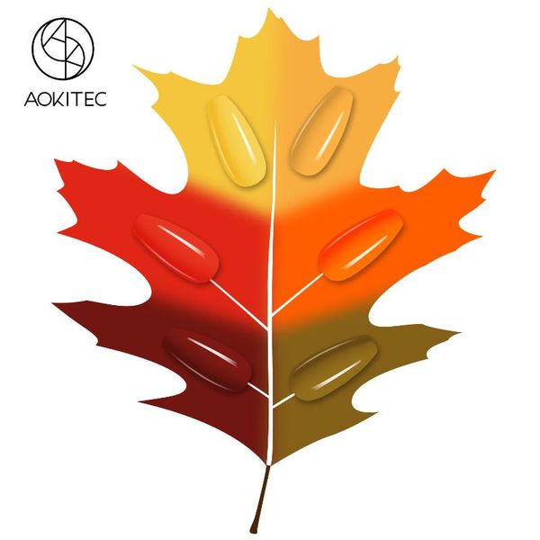 nail art kits aokitec gel polish kit 6 color 7.5ml set soak off uv led nails autum leaves manicure
nail art kits aokitec gel polish kit 6 color 7.5ml set soak off uv led nails autum leaves manicure