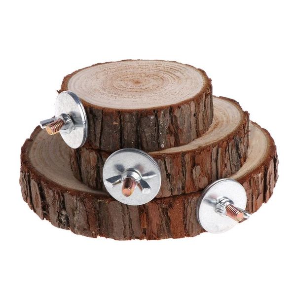 pet parrot bird cage perch perches platform round wooden stand board for chinchilla squirrel birds resk toy 8/10/14cm small animal supplies
pet parrot bird cage perch perches platform round wooden stand board for chinchilla squirrel birds resk toy 8/10/14cm small animal supplies
