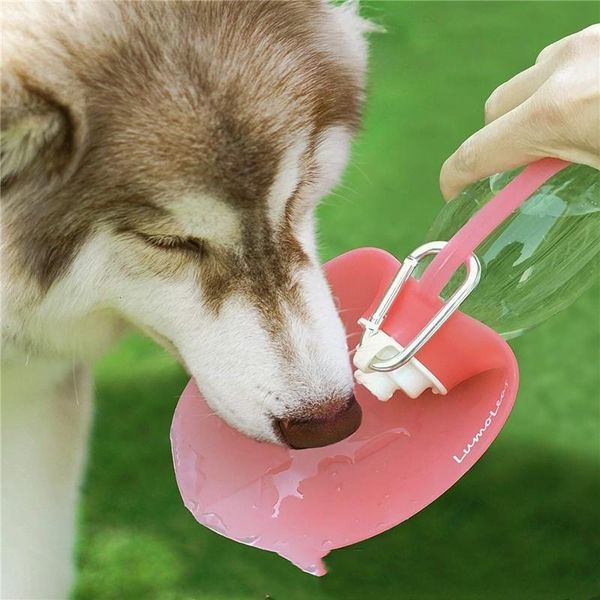 dog apparel 580ml water bottle walking pet dispenser feeder container portable with drinking cup bowl outdoor hiking travel
dog apparel 580ml water bottle walking pet dispenser feeder container portable with drinking cup bowl outdoor hiking travel