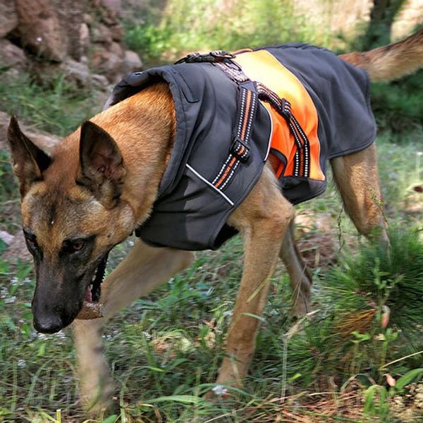 pet waterproof four side elastic cotton padded coat for dog in autumn winter composite fleece inner lining vest cat costumes
pet waterproof four side elastic cotton padded coat for dog in autumn winter composite fleece inner lining vest cat costumes