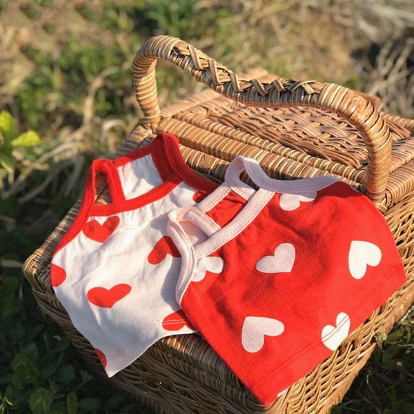 summer vest teddy dog bear bome schnauzer vip yorkshire puppies miniature pet clothes
summer vest teddy dog bear bome schnauzer vip yorkshire puppies miniature pet clothes