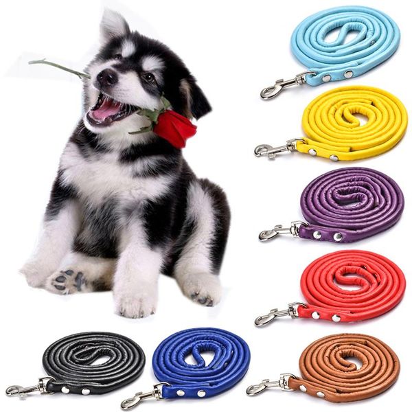fashion pet dog leash rope nylon adjustable pu leathertraining lead harness collar puppy supplies collars & leashes
fashion pet dog leash rope nylon adjustable pu leathertraining lead harness collar puppy supplies collars & leashes