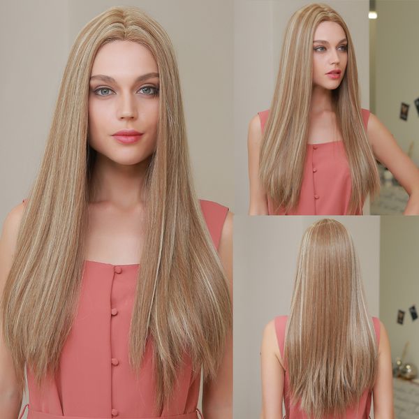 middle part synthetic lace part wigs natural long straight hair for black women brown golden blonde wigs with highlight
middle part synthetic lace part wigs natural long straight hair for black women brown golden blonde wigs with highlight