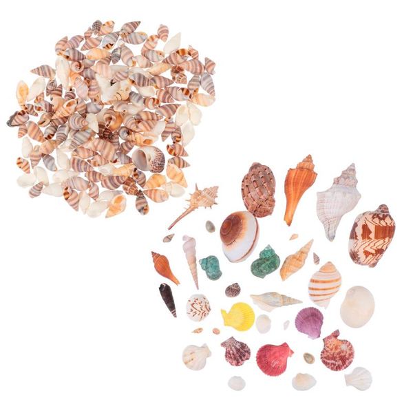set fish tank sea snails ocean aquarium decorative shells beach conch novelty items
set fish tank sea snails ocean aquarium decorative shells beach conch novelty items