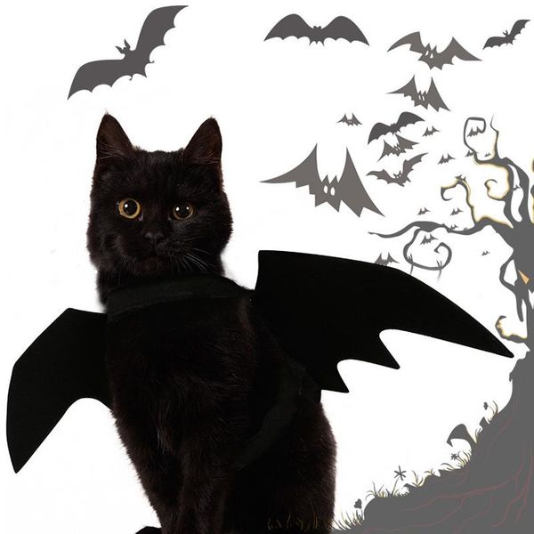 cat costumes pet dog bat wing cosplay prop halloween fancy dress costume outfit wings
cat costumes pet dog bat wing cosplay prop halloween fancy dress costume outfit wings