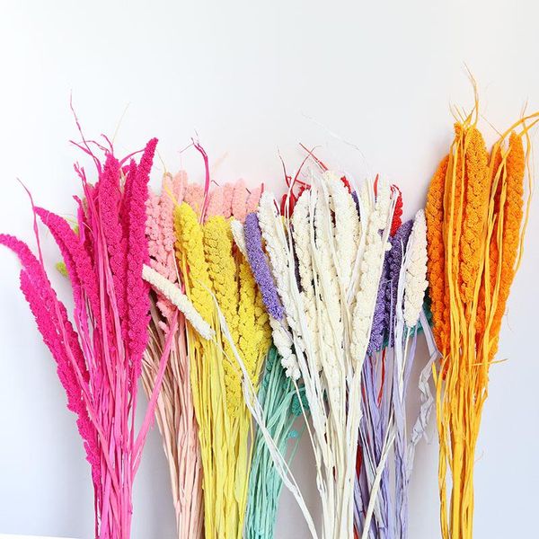 real dried bear tail grass plants wedding christmas party decoration northern european-style eternal flower arrangement ornament decorative
real dried bear tail grass plants wedding christmas party decoration northern european-style eternal flower arrangement ornament decorative