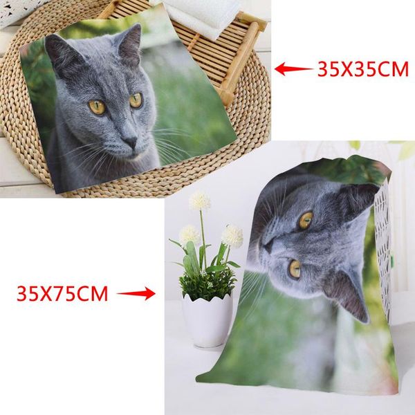 towel blue cat towels size 35x35cm 35x75cm square rectangle printing cotton face fabric custom logo
towel blue cat towels size 35x35cm 35x75cm square rectangle printing cotton face fabric custom logo