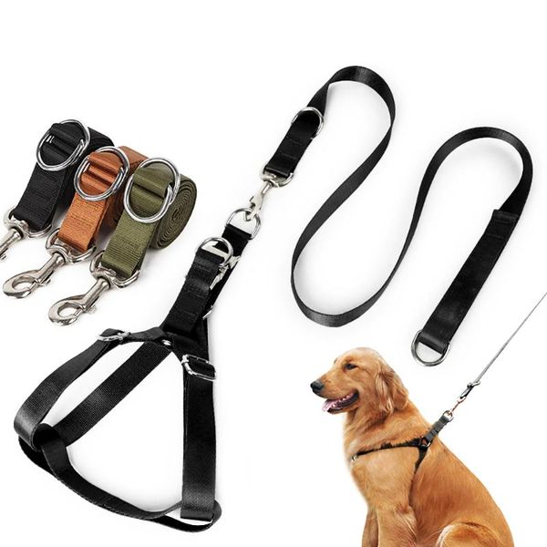 dog collars & leashes cat harness pet adjustable walking lead leash for puppy polyester small medium
dog collars & leashes cat harness pet adjustable walking lead leash for puppy polyester small medium