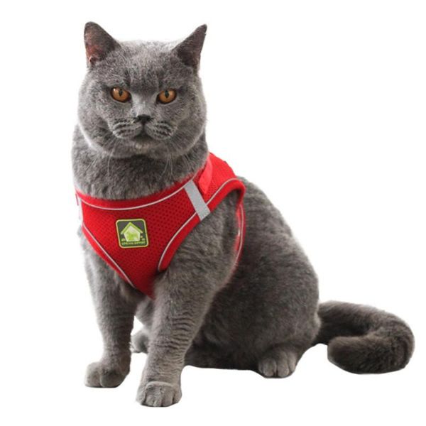 dog collars & leashes reflective breathable chain leash for cats and dogs chest strap pet adjustable vest walking lead harness
dog collars & leashes reflective breathable chain leash for cats and dogs chest strap pet adjustable vest walking lead harness