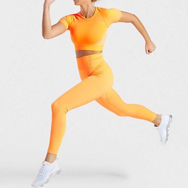 yoga outfits women's summer seamless set gym sportswear shorts female sports bra running t-shirt leggings fitness pants suit, White;red
yoga outfits women's summer seamless set gym sportswear shorts female sports bra running t-shirt leggings fitness pants suit, White;red