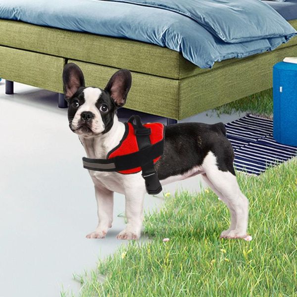 dog collars & leashes personalized harness adjustable pet for dogs reflective breathable vest outdoor walking supplies
dog collars & leashes personalized harness adjustable pet for dogs reflective breathable vest outdoor walking supplies