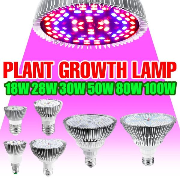 grow lights full spectrumled e27 plant light e14 seeds bulb 220v fitolampy phyto lamp 18w 28w 30w 50w 80w 100w indoor growing tent box
grow lights full spectrumled e27 plant light e14 seeds bulb 220v fitolampy phyto lamp 18w 28w 30w 50w 80w 100w indoor growing tent box