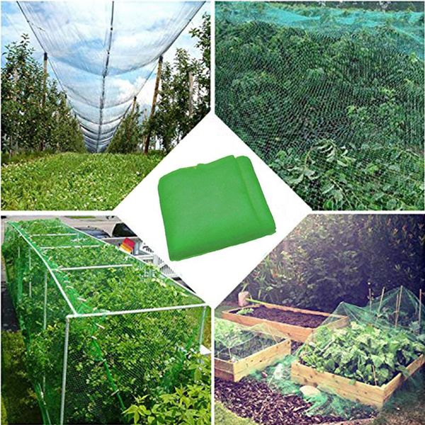 shade anti bird netting garden mesh fruit vegetables net protection crops plant covers grow fence climbing 
shade anti bird netting garden mesh fruit vegetables net protection crops plant covers grow fence climbing
