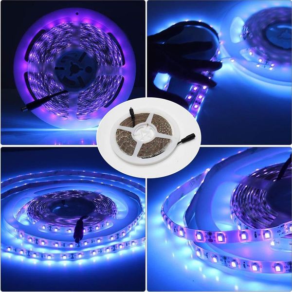 strips uv ultraviolet 3528 smd led strip light 5m waterproof ribbon purple flexible tape lamp dc12v for dj fluorescence
strips uv ultraviolet 3528 smd led strip light 5m waterproof ribbon purple flexible tape lamp dc12v for dj fluorescence