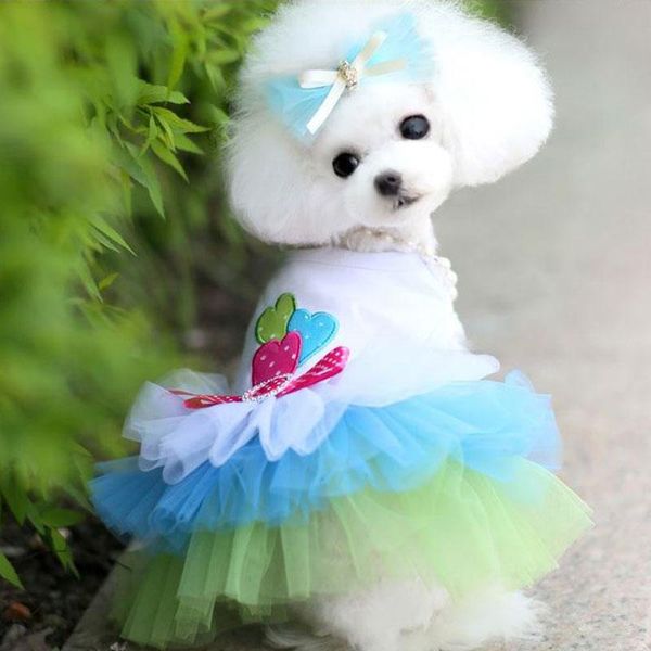 dog apparel pet clothes for small dogs dress sweety princess spring summer puppy lace chihuahua clothing
dog apparel pet clothes for small dogs dress sweety princess spring summer puppy lace chihuahua clothing