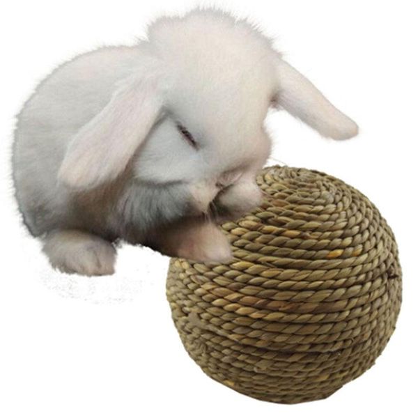 other bird supplies 1pc pet balls toys straw rattan woven chewing ball teeth cleaning training biting drop
other bird supplies 1pc pet balls toys straw rattan woven chewing ball teeth cleaning training biting drop