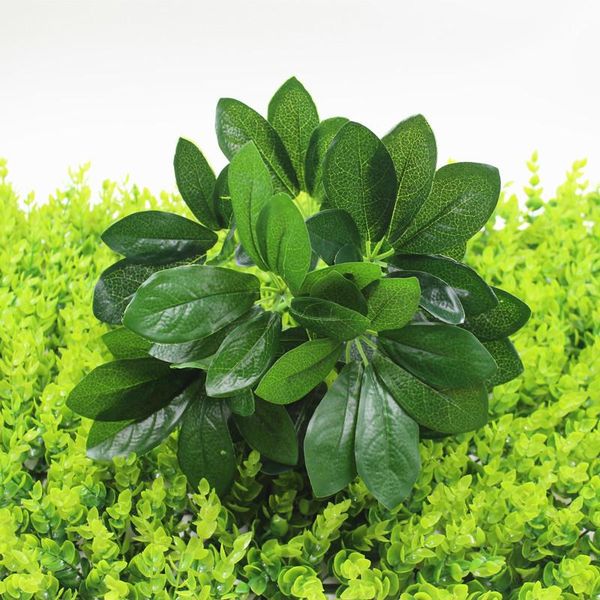 fake flowers green plants pot decoration plant wall materials leaves seven star leaf simulation plant home decor
fake flowers green plants pot decoration plant wall materials leaves seven star leaf simulation plant home decor