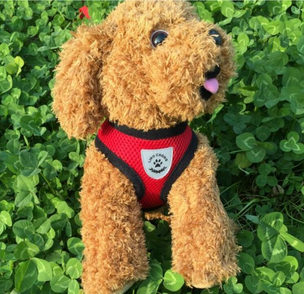 dog collars & leashes harness mesh collar teddy night breathable pet leads used in summer
dog collars & leashes harness mesh collar teddy night breathable pet leads used in summer