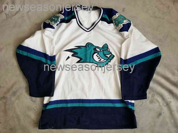 stitched ahl worcester ice cats white 10th anniversary hockey jersey xs-5xl 6xl hockey jersey, Black
stitched ahl worcester ice cats white 10th anniversary hockey jersey xs-5xl 6xl hockey jersey, Black
