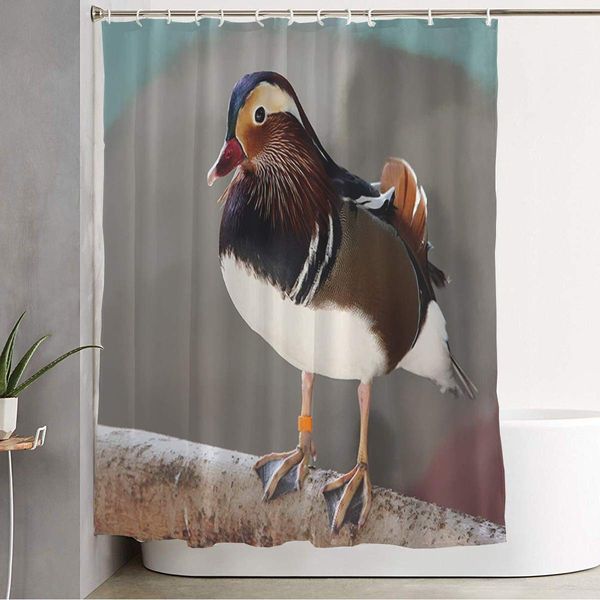 bathroom fabric shower curtain colorful male mandarin duck aix galericulata animals ornithology wildlife orange migratory nature
bathroom fabric shower curtain colorful male mandarin duck aix galericulata animals ornithology wildlife orange migratory nature