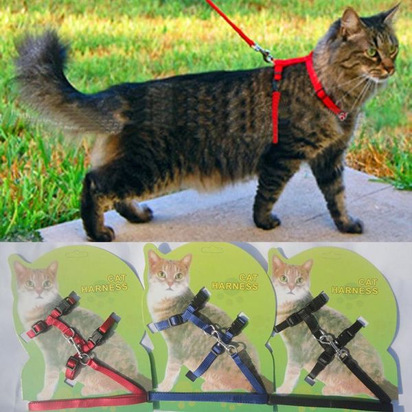 dog collars & leashes pet puppy cat kitten nylon harness collar leash lead adjustable
dog collars & leashes pet puppy cat kitten nylon harness collar leash lead adjustable