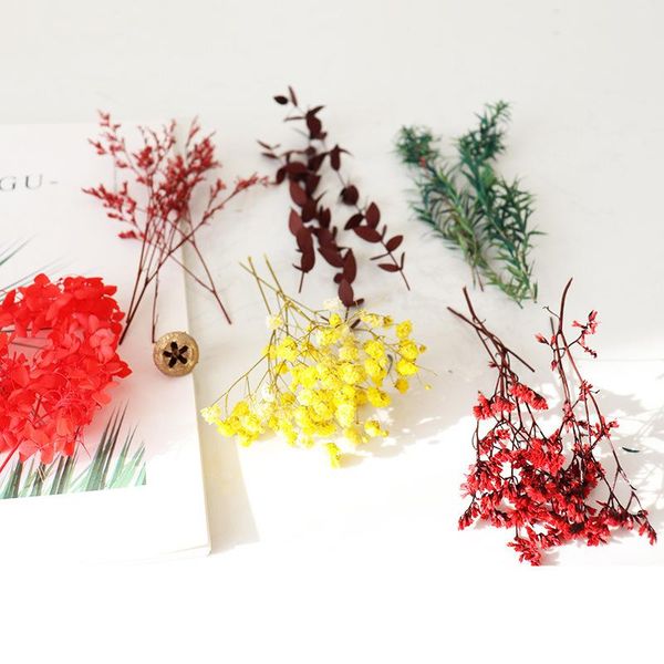 decorative flowers & wreaths real dried for diy art craft epoxy resin candle making jewellery home party dry press
decorative flowers & wreaths real dried for diy art craft epoxy resin candle making jewellery home party dry press