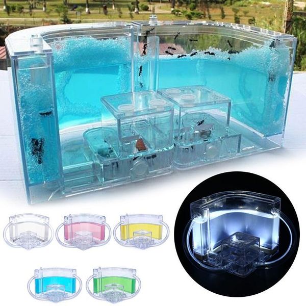 small animal supplies ant farm luminous pet toy habitat decoration transparent specially nest ants house colorful villa insect feeding area
small animal supplies ant farm luminous pet toy habitat decoration transparent specially nest ants house colorful villa insect feeding area