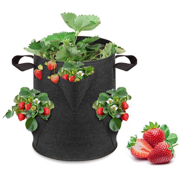 7-gallon non-woven planting bag permeable breathable nursery flower pot container strawberry growing for ornamental fruits planters & pots
7-gallon non-woven planting bag permeable breathable nursery flower pot container strawberry growing for ornamental fruits planters & pots