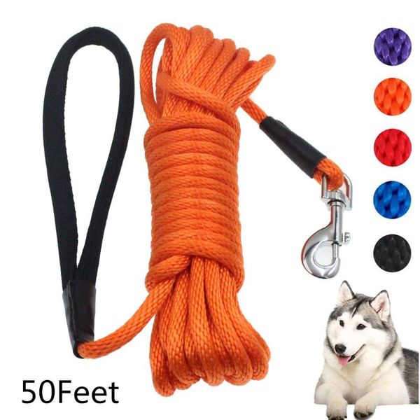 50feet long dog leash nylon tracking round rope outdoor walking training dogs lead leashes for medium large pet supplies collars &
50feet long dog leash nylon tracking round rope outdoor walking training dogs lead leashes for medium large pet supplies collars &