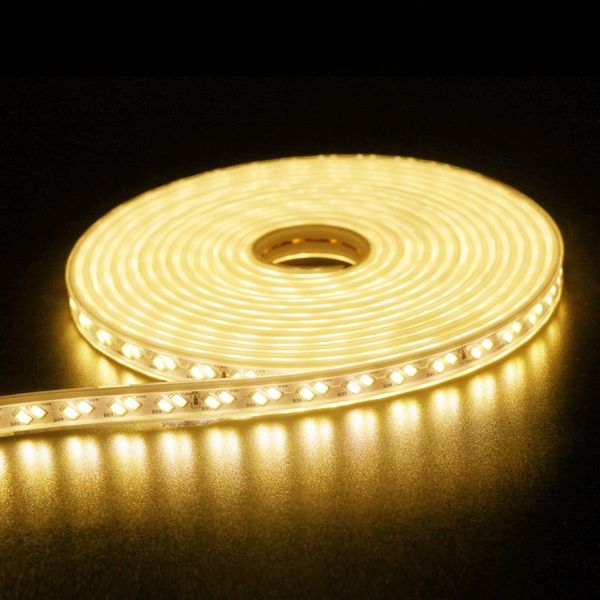 double row led light strip 5730 high security brightness 120leds/m flexible outdoor waterproof strips
double row led light strip 5730 high security brightness 120leds/m flexible outdoor waterproof strips