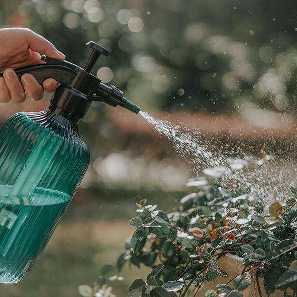 watering equipments garden pot spray bottle sprayer sprinkler atomization nozzle plants plant flower planting kettle tools supplies
watering equipments garden pot spray bottle sprayer sprinkler atomization nozzle plants plant flower planting kettle tools supplies