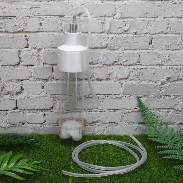 aquariums aquarium fish breeder practical shrimp breeding tool acrylic tank incubator
aquariums aquarium fish breeder practical shrimp breeding tool acrylic tank incubator