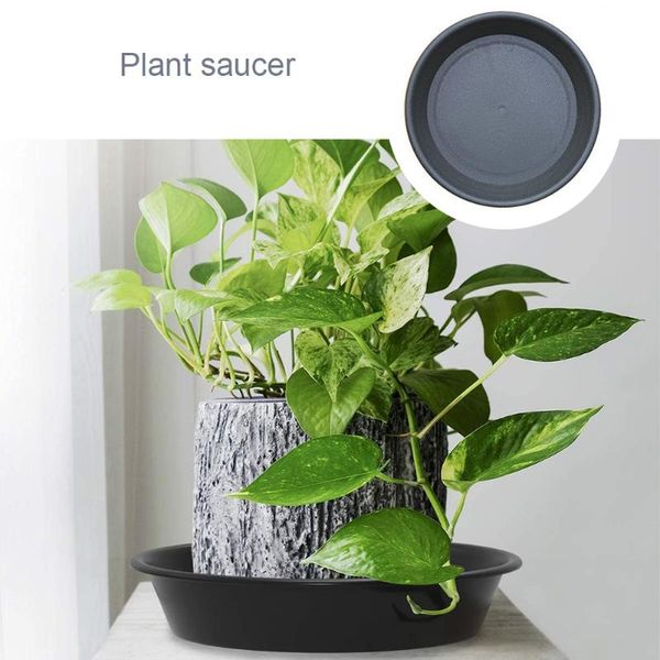 planters & pots 3pcs plant saucer plastic round shape pot drip tray flowerpot planter pallet base for garden balcony indoor green planting
planters & pots 3pcs plant saucer plastic round shape pot drip tray flowerpot planter pallet base for garden balcony indoor green planting