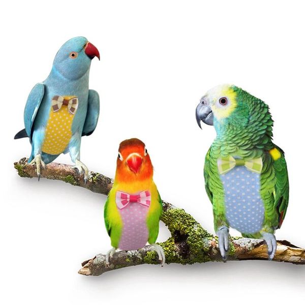 other bird supplies pet nappy clothes parrot diaper napkin hand-made pants cute flying suit pilot clothing for cockatiel parakeet
other bird supplies pet nappy clothes parrot diaper napkin hand-made pants cute flying suit pilot clothing for cockatiel parakeet