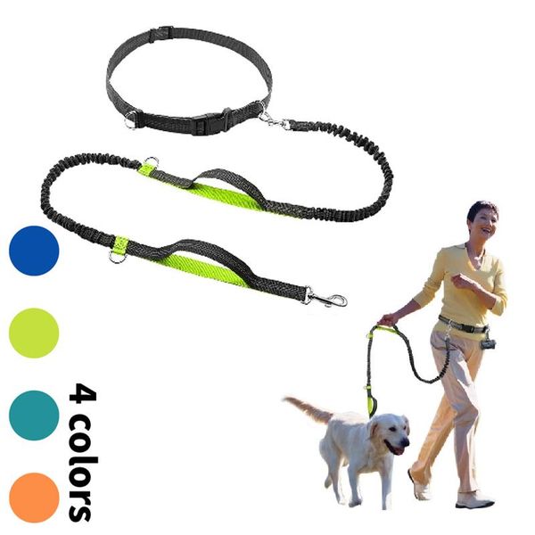 dog collars & leashes high qulity retractable hands leash for running dual handle bungee reflective large dogs pet supplies
dog collars & leashes high qulity retractable hands leash for running dual handle bungee reflective large dogs pet supplies
