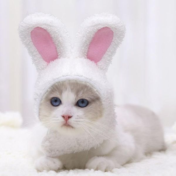 funny pet dog cap year party christmas cosplay costume warm hat q0ka cat costumes
funny pet dog cap year party christmas cosplay costume warm hat q0ka cat costumes