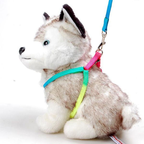 dog collars & leashes harness polyester colorful cute cat special designer puppy small vest for chihuahua
dog collars & leashes harness polyester colorful cute cat special designer puppy small vest for chihuahua